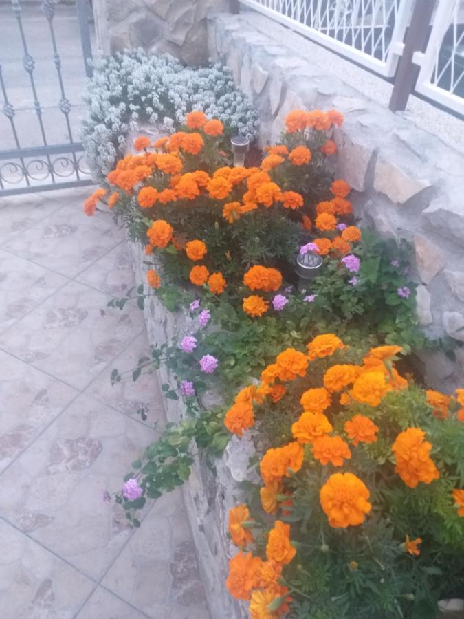 דירות שיבניק La Vita מראה חיצוני תמונה